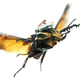 Image by Nanyang Technological University and the University of California Berkeley